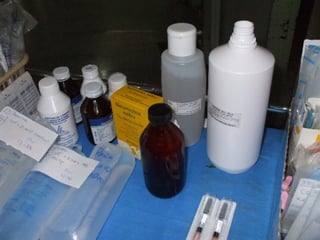 Brote Hospitalario de Infecciones Multirresistentes