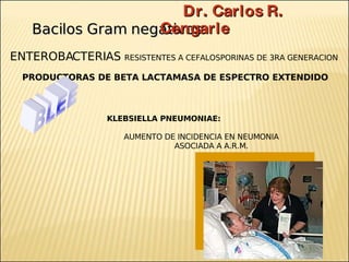 Brote Hospitalario de Infecciones Multirresistentes