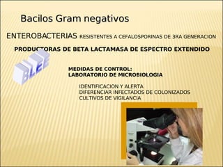 Brote Hospitalario de Infecciones Multirresistentes