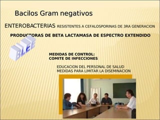 Brote Hospitalario de Infecciones Multirresistentes