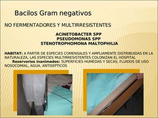 Brote Hospitalario de Infecciones Multirresistentes