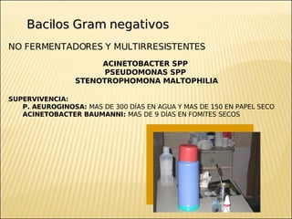 Brote Hospitalario de Infecciones Multirresistentes