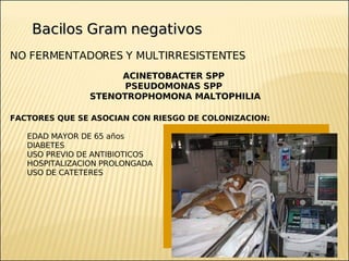 Brote Hospitalario de Infecciones Multirresistentes