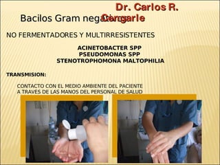 Brote Hospitalario de Infecciones Multirresistentes