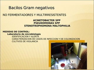 Brote Hospitalario de Infecciones Multirresistentes