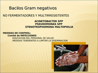 Brote Hospitalario de Infecciones Multirresistentes