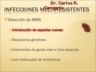 Brote Hospitalario de Infecciones Multirresistentes