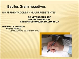 Brote Hospitalario de Infecciones Multirresistentes