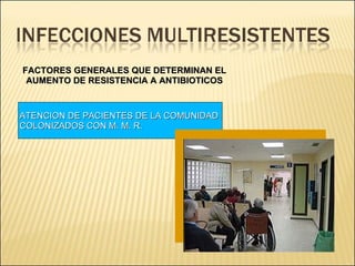 Brote Hospitalario de Infecciones Multirresistentes