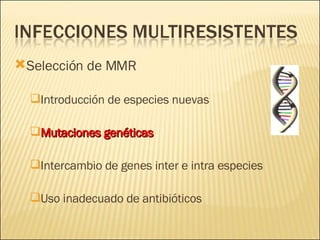 Brote Hospitalario de Infecciones Multirresistentes