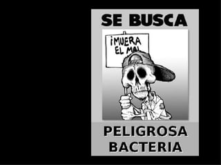 Brote Hospitalario de Infecciones Multirresistentes