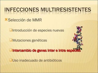 Brote Hospitalario de Infecciones Multirresistentes