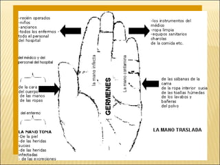 Brote Hospitalario de Infecciones Multirresistentes