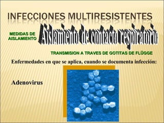 Brote Hospitalario de Infecciones Multirresistentes