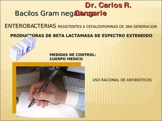 Dr. Carlos R.
                    Cengarle
    Bacilos Gram negativos
NO FERMENTADORES Y MULTIRRESISTENTES
               ...