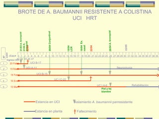 Brote nosocomial varicela