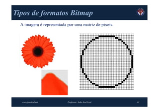 Tipos de formatos Bitmap
  A imagem é representada por uma matriz de pixeis.




   www.joaoleal.net       Professor: João José Leal   11
 