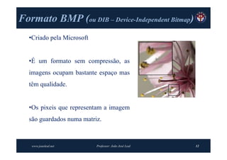 Formato BMP (ou DIB – Device-Independent Bitmap)
                      Device-

  •Criado pela Microsoft


  •É um formato sem compressão, as
  imagens ocupam bastante espaço mas
  têm qualidade.


  •Os pixeis que representam a imagem
  são guardados numa matriz.



   www.joaoleal.net        Professor: João José Leal   12
 