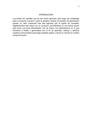 6




                               INTRODUCCION

Los brotes son semillas que se han hecho germinar para luego ser empleadas
para el consumo humano o para la siembra. Gracias al proceso de germinación
poseen un valor nutricional más alto logrando que el aporte de minerales,
oligoelementos sea mayor con su consumo convirtiéndose en una buena opción
para tener una sana alimentación; por tal motivo nos adentraremos en lo que
concierne a brotes o germinados con el fin de aprender, reforzar y clarificar
nuestros conocimientos para luego poderlos aplicar y poner en marcha en nuestro
campo de acción.
 