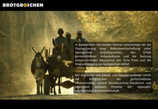 BROTGROSCHENIn Kooperation mit starken Partner unterstützen wir die Popularisierung einer Bodenbewirtschaftung unter ökologischen Gesichtspunkten, den Erhalt gentechnikfreier Anbaukulturen und die Nutzung klimaschonender Ressourcen wie Terra Preta und die Biogaserzeugung aus biologischem Abfall.Mit Angeboten wie Rabatt- und Spendensystemen erhält der Brotgroschen die gentechnikfreie Pflanzenvielfalt, schützt kleinbäuerliche Strukturen und unterstützt weltweit Projekte der regionalen ganzheitlichen Kreislaufwirtschaft.