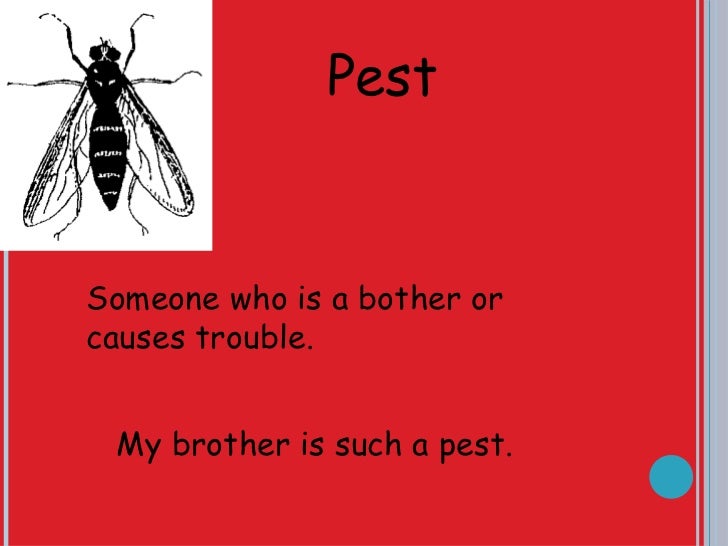 Brother And Sister Vocab Brother And Sister Vocab