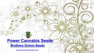 Brothers Grimm Seeds
Power Cannabis Seeds
http://powercannabisseeds.com/
 