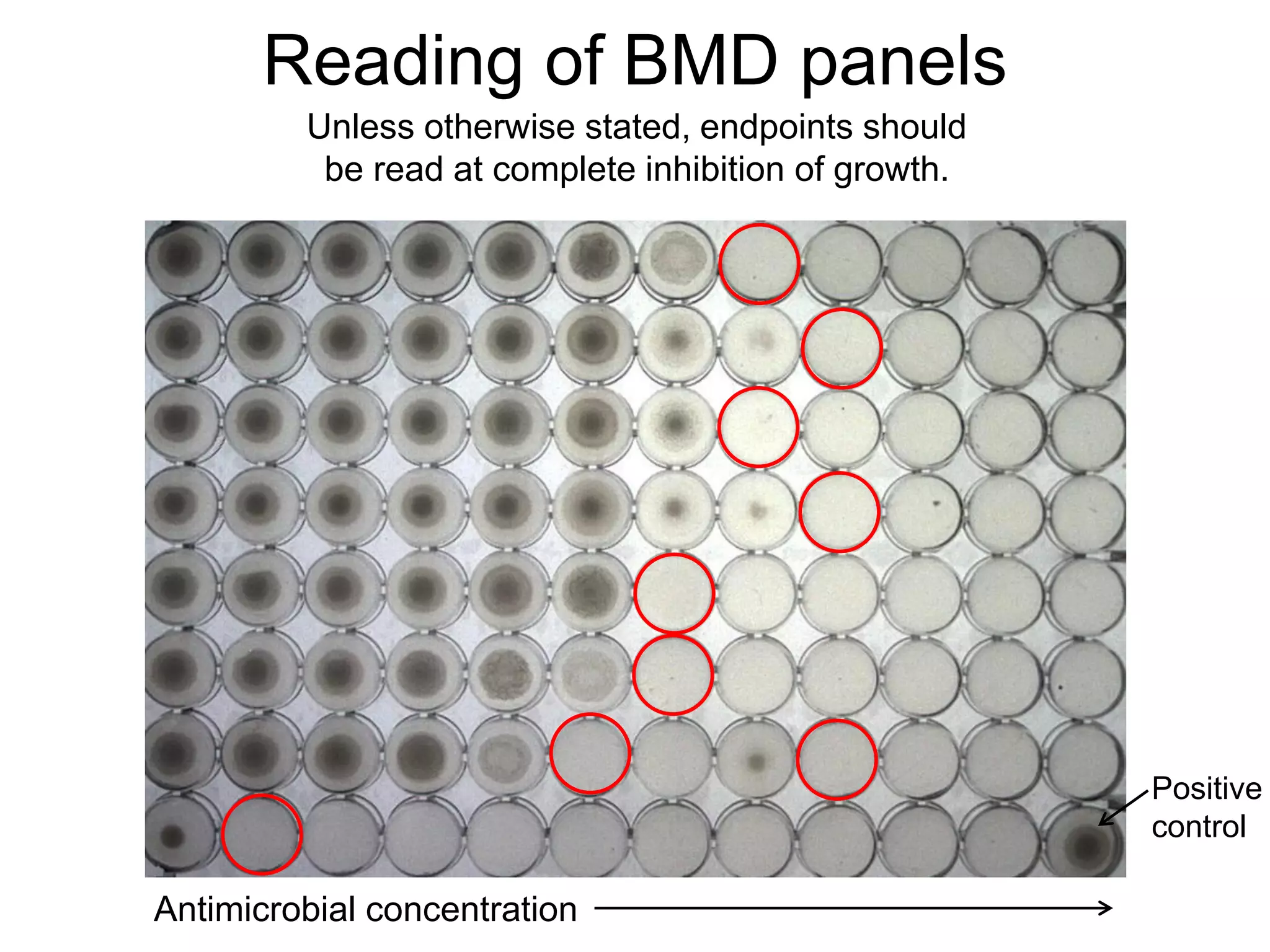 Reading of BMD panels
Positive
control
Antimicrobial concentration
Unless otherwise stated, endpoints should
be read at complete inhibition of growth.
 