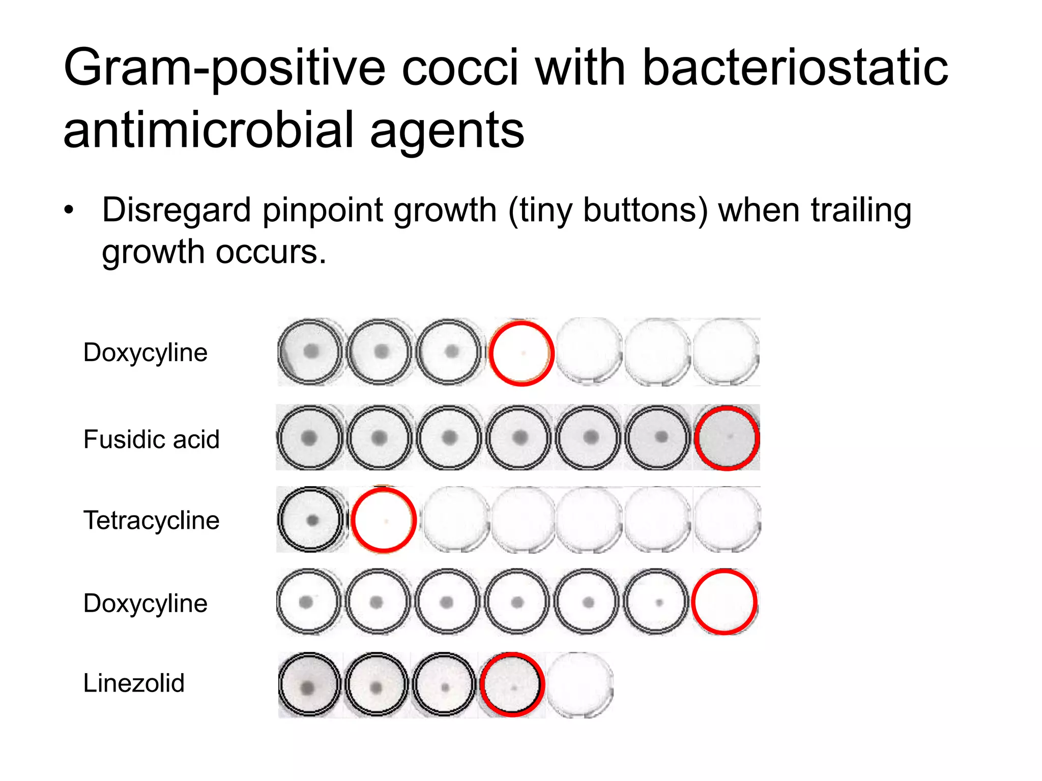 Gram-positive cocci with bacteriostatic
antimicrobial agents
• Disregard pinpoint growth (tiny buttons) when trailing
growth occurs.
Doxycyline
Doxycyline
Fusidic acid
Tetracycline
Linezolid
 