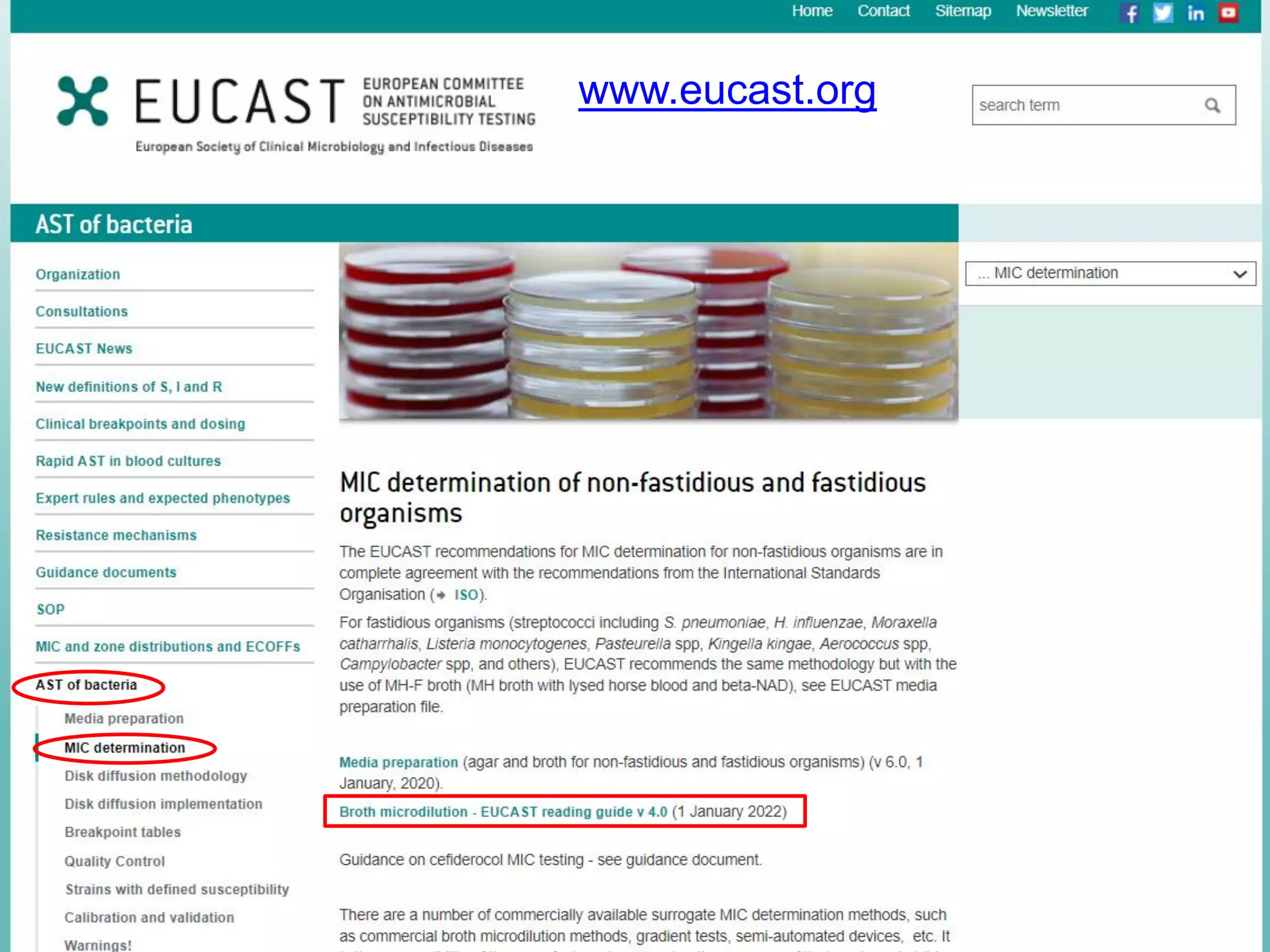 www.eucast.org
 