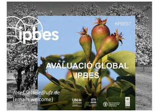 AVALUACIÓ GLOBAL
IPBES
Josef.Settele@ufz.de
(emails	welcome)	
 