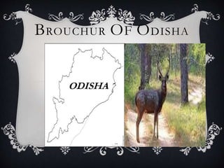 BROUCHUR OF ODISHA
ODISHA
 