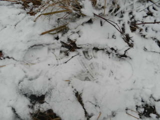 Čapkova Šlépěj podle Broučků