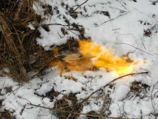 Čapkova Šlépěj podle Broučků