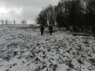 Čapkova Šlépěj podle Broučků