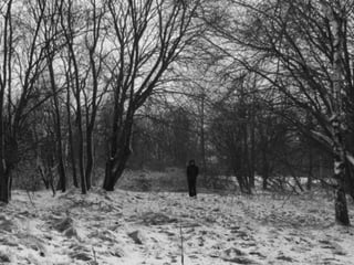 Čapkova Šlépěj podle Broučků