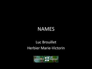 NAMES
Luc Brouillet
Herbier Marie-Victorin
 