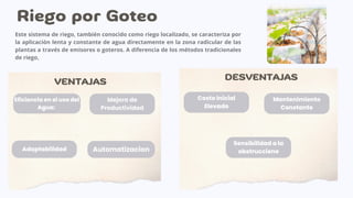 Eficiencia en el uso del
Agua:
Mejora de
Productividad
Adaptabilidad Automatizacion
Costo Inicial
Elevado
Mantenimiento
Constante
Sensibilidad a la
obstruccione
Este sistema de riego, también conocido como riego localizado, se caracteriza por
la aplicación lenta y constante de agua directamente en la zona radicular de las
plantas a través de emisores o goteros. A diferencia de los métodos tradicionales
de riego,
Riego por Goteo
VENTAJAS DESVENTAJAS
 