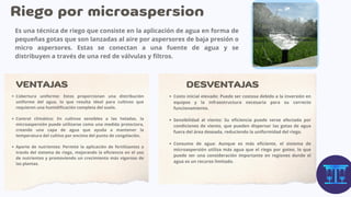 Es una técnica de riego que consiste en la aplicación de agua en forma de
pequeñas gotas que son lanzadas al aire por aspersores de baja presión o
micro aspersores. Estas se conectan a una fuente de agua y se
distribuyen a través de una red de válvulas y filtros.
Riego por microaspersion
VENTAJAS
Cobertura uniforme: Estos proporcionan una distribución
uniforme del agua, lo que resulta ideal para cultivos que
requieren una humidificación completa del suelo.
Control climático: En cultivos sensibles a las heladas, la
microaspersión puede utilizarse como una medida protectora,
creando una capa de agua que ayuda a mantener la
temperatura del cultivo por encima del punto de congelación.
Aporte de nutrientes: Permite la aplicación de fertilizantes a
través del sistema de riego, mejorando la eficiencia en el uso
de nutrientes y promoviendo un crecimiento más vigoroso de
las plantas.
DESVENTAJAS
Costo inicial elevado: Puede ser costosa debido a la inversión en
equipos y la infraestructura necesaria para su correcto
funcionamiento.
Sensibilidad al viento: Su eficiencia puede verse afectada por
condiciones de viento, que pueden dispersar las gotas de agua
fuera del área deseada, reduciendo la uniformidad del riego.
Consumo de agua: Aunque es más eficiente, el sistema de
microaspersión utiliza más agua que el riego por goteo, lo que
puede ser una consideración importante en regiones donde el
agua es un recurso limitado.
 
