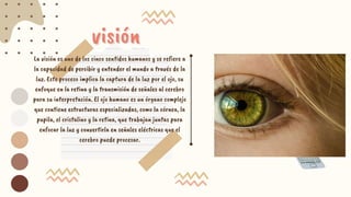 visión
visión
La visión es uno de los cinco sentidos humanos y se refiere a
la capacidad de percibir y entender el mundo a través de la
luz. Este proceso implica la captura de la luz por el ojo, su
enfoque en la retina y la transmisión de señales al cerebro
para su interpretación. El ojo humano es un órgano complejo
que contiene estructuras especializadas, como la córnea, la
pupila, el cristalino y la retina, que trabajan juntas para
enfocar la luz y convertirla en señales eléctricas que el
cerebro puede procesar.
 