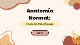 Anatomía
Normal:
Imágenes Panorámicas
 