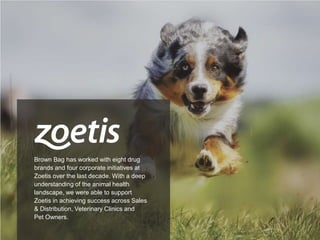 15
Brown Bag has worked with eight drug
brands and four corporate initiatives at
Zoetis over the last decade. With a deep
understanding of the animal health
landscape, we were able to support
Zoetis in achieving success across Sales
& Distribution, Veterinary Clinics and
Pet Owners.
 