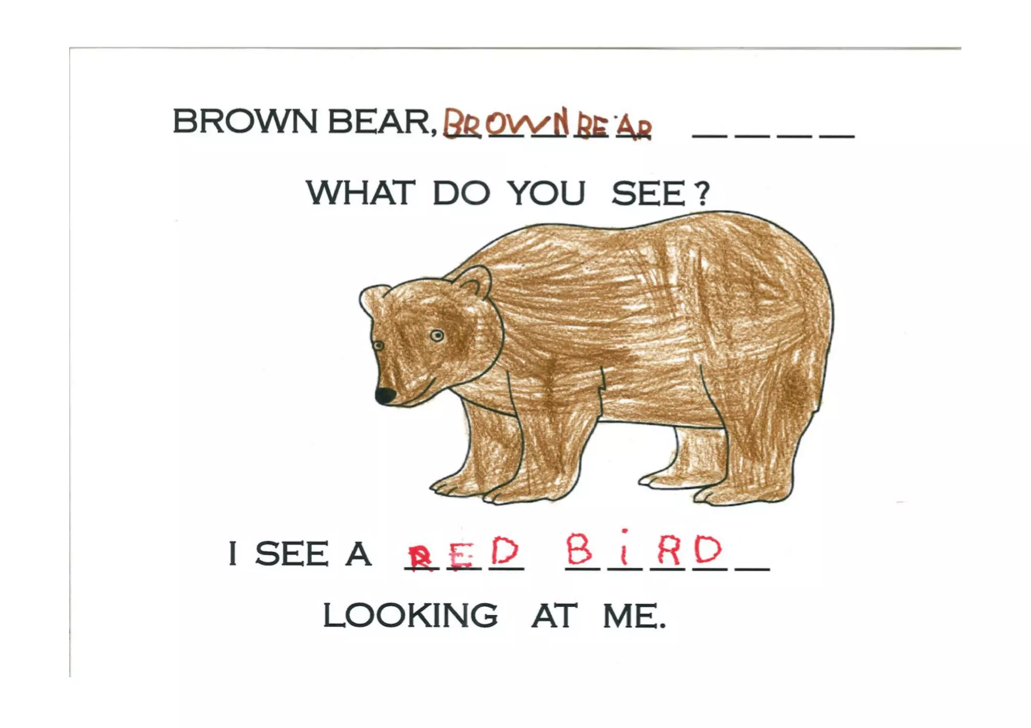 Brown bear | PDF
