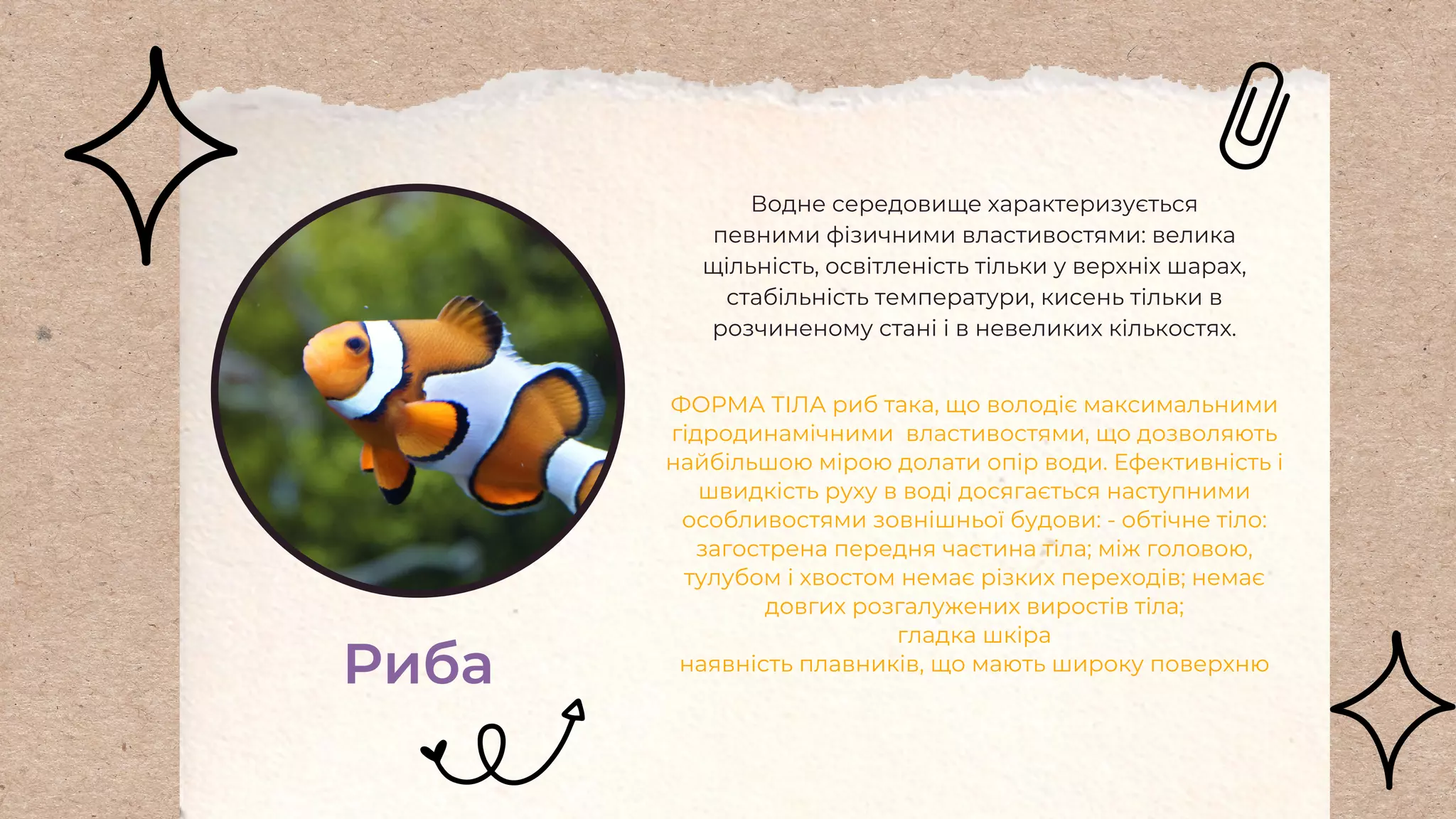 Риба
Водне середовище характеризується
певними фізичними властивостями: велика
щільність, освітленість тільки у верхніх шарах,
стабільність температури, кисень тільки в
розчиненому стані і в невеликих кількостях.
ФОРМА ТІЛА риб така, що володіє максимальними
гідродинамічними властивостями, що дозволяють
найбільшою мірою долати опір води. Ефективність і
швидкість руху в воді досягається наступними
особливостями зовнішньої будови: - обтічне тіло:
загострена передня частина тіла; між головою,
тулубом і хвостом немає різких переходів; немає
довгих розгалужених виростів тіла;
гладка шкірa
наявність плавників, що мають широку поверхню
 