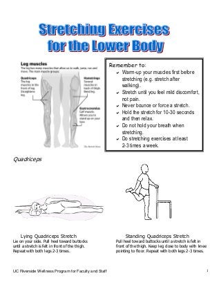 UC Riverside Wellness Program for Faculty and Staff 1
Quadriceps
Lying Quadriceps Stretch Standing Quadriceps Stretch
Lie on your side. Pull heel toward buttocks Pull heel toward buttocks until a stretch is felt in
until a stretch is felt in front of the thigh. front of the thigh. Keep leg close to body with knee
Repeat with both legs 2-3 times. pointing to floor. Repeat with both legs 2-3 times.
Remember to:
Warm-up your muscles first before
stretching (e.g. stretch after
walking).
Stretch until you feel mild discomfort,
not pain.
Never bounce or force a stretch.
Hold the stretch for 10-30 seconds
and then relax.
Do not hold your breath when
stretching.
Do stretching exercises at least
2-3 times a week.
 