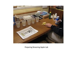 Preparing Browning Apple Lab
 