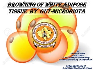 BROWNING OF WHITE ADIPOSE
TISSUE BY GUT-MICROBIOTA
BY
PALADI RAMYA
2020MSSB007
M.SC SPORTS BIOCHEMISTRY
CENTRAL UNIVERSITY OF RAJASTHAN
UNDER GUIDANCE OF
Dr. SHAILENDRA PRATAP SINGH
 