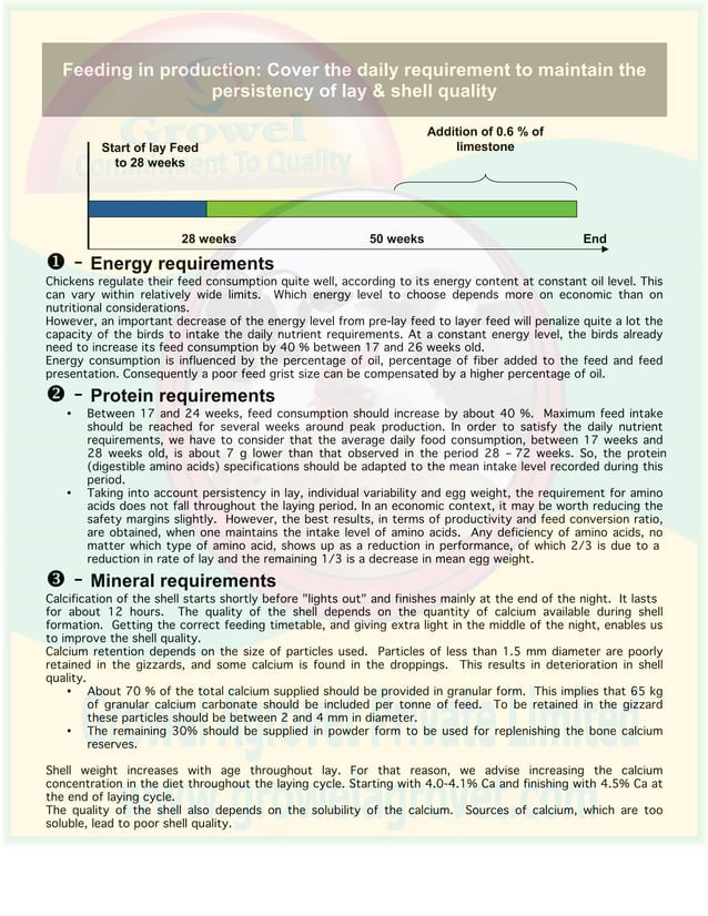 Brown Layer Poultry Farming Guide | PDF | Agriculture | Industries