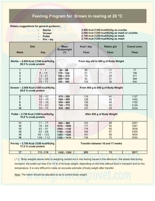 Layer Chicken Feeding Guide.pdf Brown Layer Poultry Farming Guide | PDF