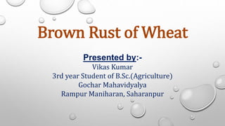 Brown Rust of Wheat | PPTX