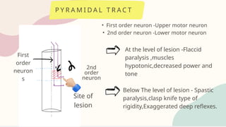 Brown sequard syndrome Nithika MP 2 Final.pptx